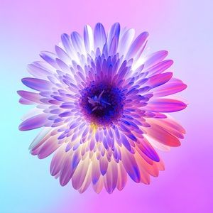 Meet your Posher, Darlin